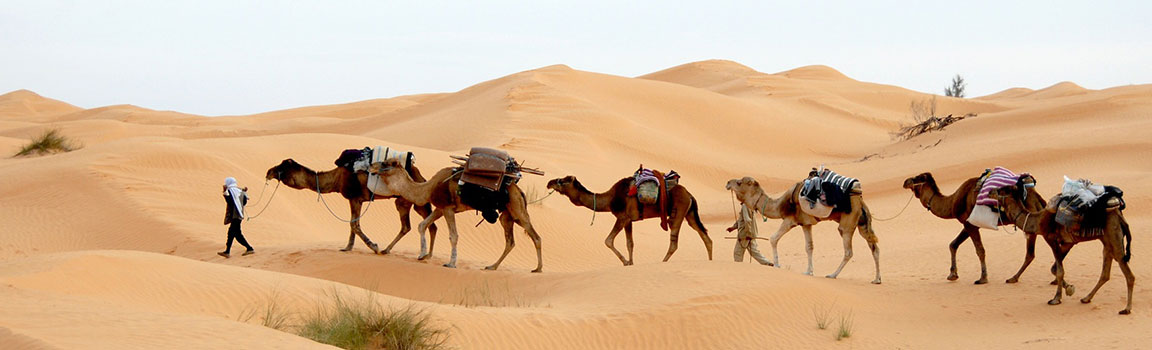 Area Code: 649 (+1649) - Cockburn Town, Turks and Caicos Islands